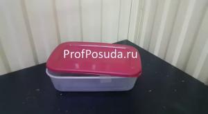 Контейнер с крышкой для холодильника и микроволновой печи Restola  фото 1