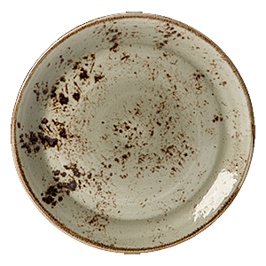 Тарелка мелкая «Крафт»; материал: фарфор; диаметр=202, высота=15 мм; зеленый