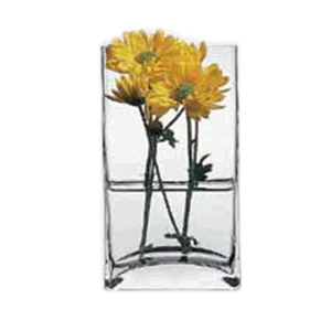 Ваза для цветов «Ботаника»; стекло; диаметр=8, высота=18 см.; прозрачный