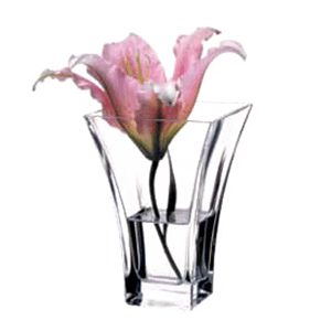 Ваза для цветов «Ботаника»; стекло; высота=14 см.; прозрачный