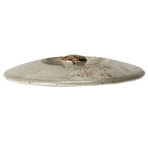 Крышка для бульонной чашки (1131 B828) «Крафт»  материал: фарфор  диаметр=11, высота=2.8, длина=12.8 см. Steelite