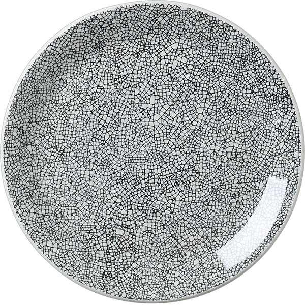 Тарелка мелкая «Инк Блэк»; фарфор; D=25.3см; белый,черный