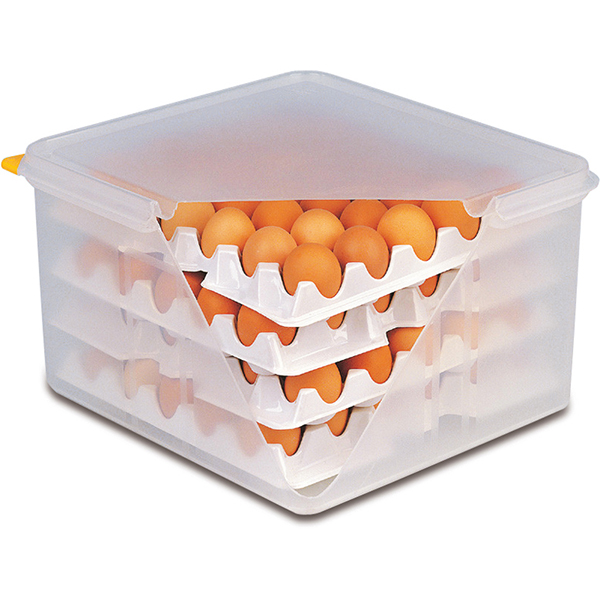 Лоток для контейнера для хранения яиц (для арт 82419)[10шт];  полипропилен;  ,H=65,L=285,B=285мм