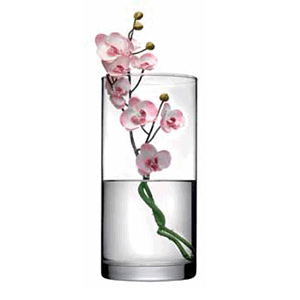 Ваза для цветов «Ботаника»; стекло; высота=26 см.; прозрачный