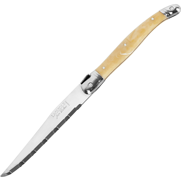 Нож для стейка  сталь нержавеющая,пластик  длина=27 см. Steelite