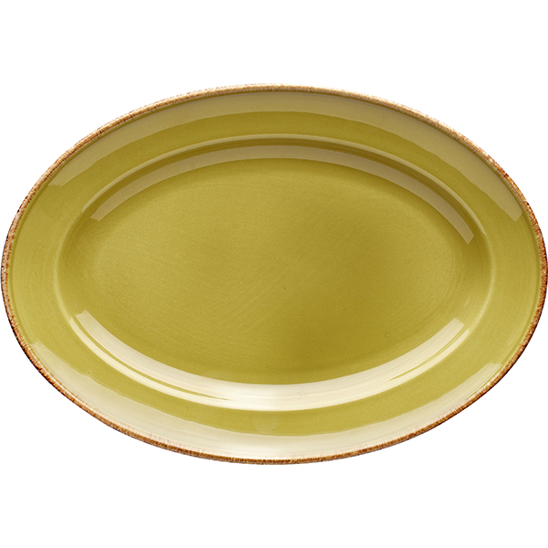 Блюдо овальный «Террамеса олива»; фарфор; L=32см; оливковый 