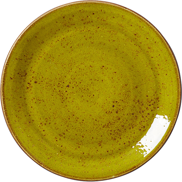 Тарелка мелкая «Крафт Эппл»; фарфор; D=25, H=2см; желто-зеленая